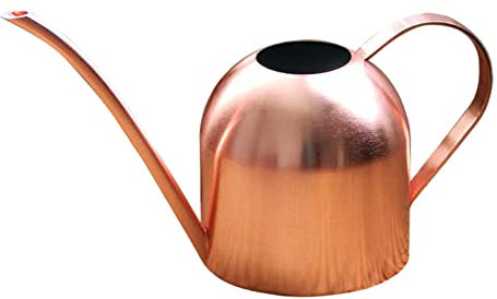 1 x Gießkanne aus Edelstahl, Mini Modern Style, kleine Gießkanne für Pflanzen und Indoor-Sukkulenten, 1000 ml (Roségold)