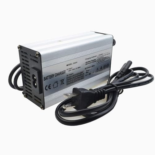 Chargeur de batterie LiFePO4 48,4 V 15 A pour batteries rechargeables à cycle profond de phosphate de fer et de lithium 48 V