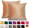 Emilie-Textil 2er Set SAMT Kissenbezug, Decorative Kissenhülle, Sofakissenbezug mit Verstecktem Reißverschluss, 14, Größen 40X40 / 45X45 / 50X50cm (2, Beige, 40X40)