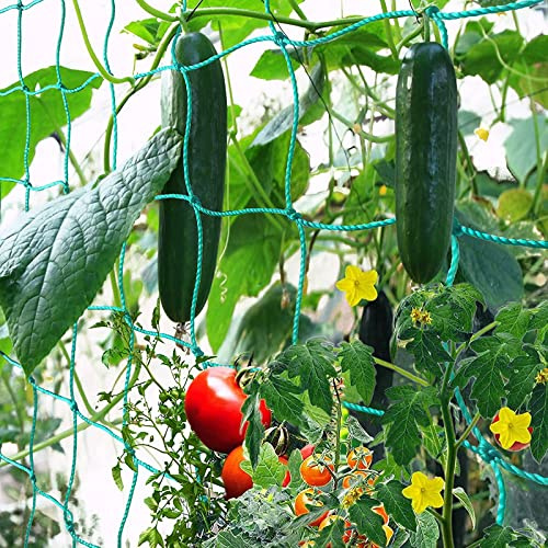 Ranknetz für Gurken, 5×2m Pflanzennetz Schützt Gemüsepflanzen und Obstbäume, gurkennetz für gewächshaus im Freien und im Innenbereich ranknetz für kletterpflanzen