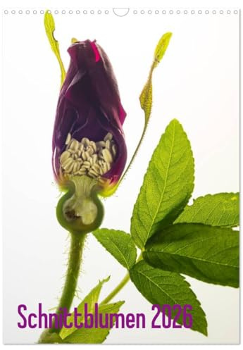 Schnittblumen 2026 (Wandkalender 2026 DIN A3 hoch), CALVENDO Monatskalender: Durch das Innere der Blüten geschnitten - Blüten mal ganz anders (CALVENDO Natur)