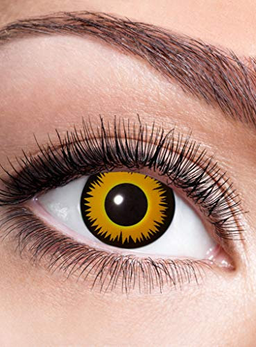 Löwe Kontaktlinse/Jahreslinse mit Dioptrien - farbige Motivlinse mit Sehstärke (1 Stück) - Dioptrien: -2 - ideal für Halloween, Karneval, Motto-Party