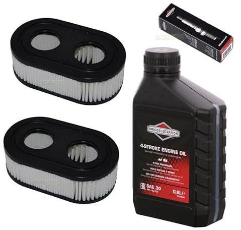 perfektGarten Bougie d'allumage + filtre + huile de tondeuse à gazon compatible avec Briggs & Stratton B&S BS 625E 650EX 675EXI