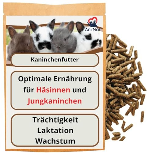 Kaninchengranulat – Spezialfutter für trächtige, stillende und junge Kaninchen im Wachstum – reich an Ballaststoffen & Nährstoffen – leicht verdaulich – geeignet für Zwergkaninchen und große Kaninchen