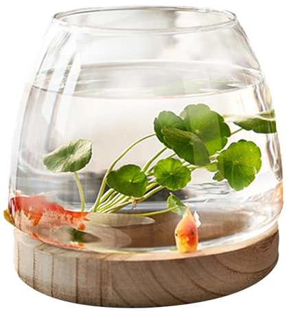 Hydroponic Plant Terrarium, Transparent Glass Fish Bowl Vase with Wooden Support, Wide Mouth Flower Vase Terrarium, Planter Clear Fish Bowl for Home Decoration