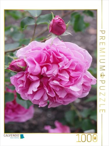 CALVENDO Puzzle Rosa Warwick Castle | 1000 Teile Lege-Größe 48 x 64 cm Foto-Puzzle für glückliche Stunden