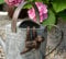 Pot Buddies handgefertigte Dreizeh-Faultier-Figur zum Aufhängen – dekoratives Hänge-Garten-Ornament – Blumentopf-Figur