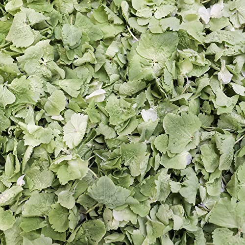 Petals and Roses Freeze Dried Hydrangea Petal Confetti | Natural & Biodegradable for Weddings, Sage Green, 2 Litres