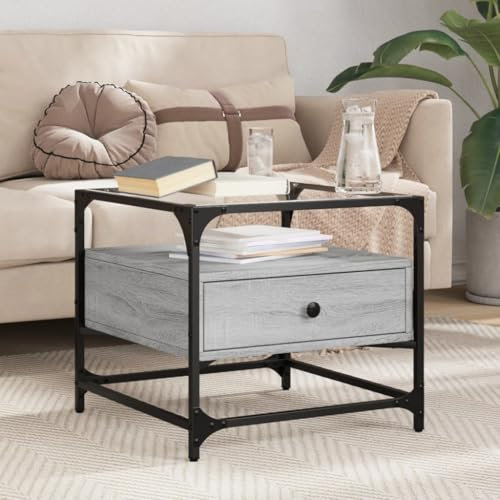 AJJHUUKI Tables d'appoint Table basse avec plateau en verre Gris Sonoma 50 x 50 x 45 cm Acier