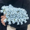 GUSHE Flower Bouquet Blanket, Crochet Bouquet of Flowers, Rosenblüten-Decke Handgefertigtes Materialpaket, Riesen Blumenstrauß-Decke, Weich und leicht Gehäkelte Blumen Decken für den Muttertag (Blau)