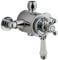 Chrome Concentric Thermostatic Brass Shower Valve Modern & Victorian (Victorian)