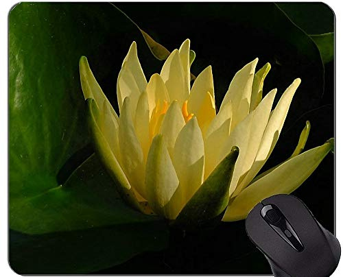 Blumenfarbkunst-Entwurfs-Lotus-Mausunterlagen Besonders angefertigt - Seerose-Mausunterlagen