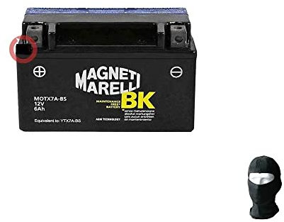 KOMPATIBEL MIT YAMAHA XC Cygnus/XC Cygnus R 125 1995 al 2003 YTX7A-BS MAGNETI MARELLI AKKU EINSATZBEREIT GELADEN ZUM SOFORTIGEN EINBAU BATTERIEN 6 AH AMP 12V 150X87X94MM
