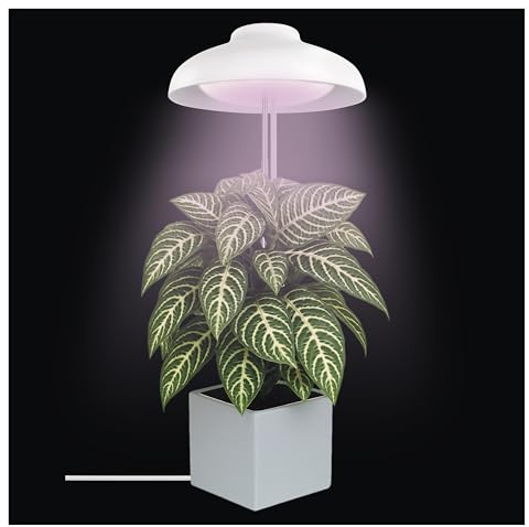 EMOS - LED-Grow-Lampe für Zimmerpflanzen und Sukkulenten - Wachstumslampe in Schirm-Design mit Timer, höhenverstellbar - Helligkeit 235lm - 1,5 m USB-A Ladekabel ohne Netzteil - Weiß