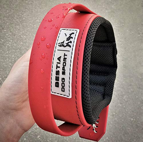 Bestia Dog Sport Halsband MIT Griff
