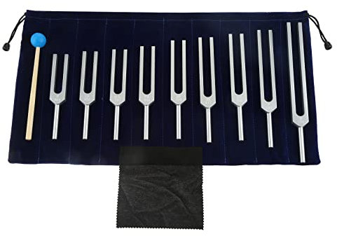 DRELD Lot de 9 Diapasons Argentés + 1 Marteau en Silicone Bleu et Chiffon de Nettoyage pour Réparation ADN, Thérapie Sonore, Guérisseurs, Vibrations