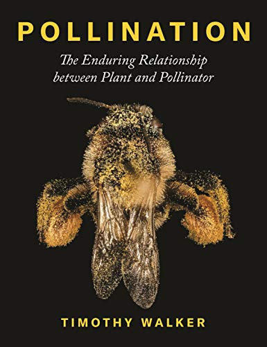Pollination: The Enduring Relationship between Plant and Pollinator (English Edition)