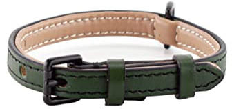 Brute Strength – Hundehalsband aus Leder – Dunkelgrün – S · 26–33 cm | Weich gepolstertes Echtleder-Halsband für Hunde; Messingschnalle, D-Ring und separater Ring für die Hundemarke