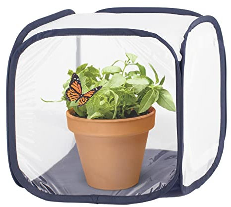 ANTOLL Mini-Insektenkäfig, Libelle, Schmetterling, fliegende Insekten, Netzkäfig, Beobachtung von Pflanzen und Kleintier-Terrarium, Pop-Up-offen, 30,5 x 30,5 x 30,5 cm (1 x blau-S)