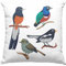 Trendation Arten von Vögeln Vogel Kissen mit Füllung 40x40 Geschenk Grafik Geschenkdiee für Vogel-Liebhaber (Blau)