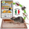 Albagarden - Trappola Per Topi Super Adesiva Professionale con Esca e con Aroma al Formaggio - Tavoletta con Colla Per Topi - Cattura Roditori, Talpe, Rettili, Ratti (6 Pz)