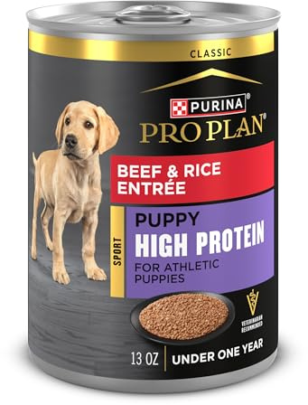 Purina Pro Plan Sport High Protein Puppy Food Beef & Rice Entree Wet Formula - (Pack of 12) 13 oz. Cans