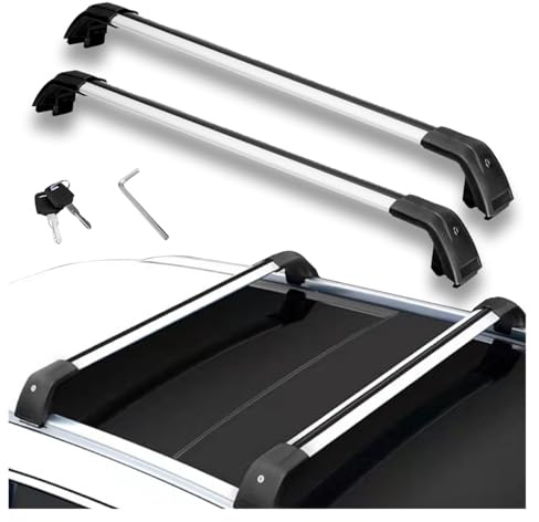 Dachträger Für Citroen Für C4 Für Grand Für Picasso Querträger Dachreling Abschließbar Relingträger Dachträger(Silver and Black)