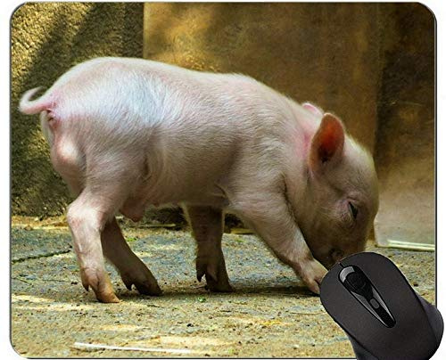 Lustiger Schwein-Entwurf Mousepad, Tiermausunterlage mit genähten Rändern