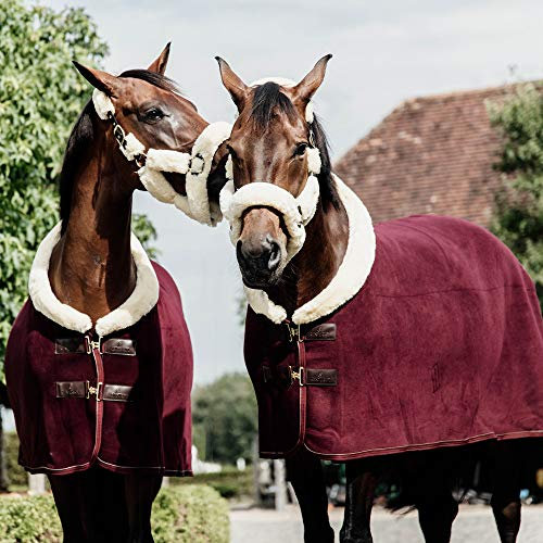 Kentucky - Schweißdecke - Fleece Bordeaux - 145