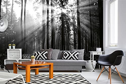 Vlies Fototapete SCHWARZ-WEIß-WALD 375 x 250 cm (inkl. Kleister) - Vlies Tapete, Wandtapete, Wandbilder - Tapete für Wohnzimmer Schlafzimmer, Büro, Küche - Montagefertig
