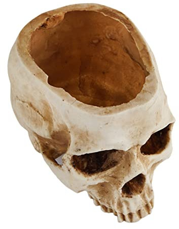Kisangel Lot De 4 Pots De Fleurs Innovants en Résine Motif Tête De Mort Robustes pour Décoration Dintérieur Idéal pour Halloween