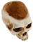 Kisangel Lot De 4 Pots De Fleurs Innovants en Résine Motif Tête De Mort Robustes pour Décoration Dintérieur Idéal pour Halloween