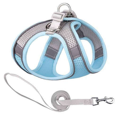 Monkimau Atmungsaktives Hundegeschirr mit Leine | Mesh und Nylon | Ideal für kleine Hunde und Katzen | Größe XXS bis L (Blau-Grau, M)