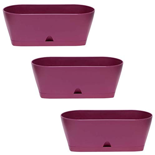 ENGELLAND - 3 x Blumenkasten mit Untersetzer, Lila, Balkonkasten, Pflanztopf, 25 cm, Tischdeko, für Garten, Terrasse, Fensterbank, mit Wasserauffangschale, Innen- & Außenbereich, 1,7 Liter
