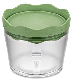 PRINCE S Vorratsdose 300ml nature leaf green