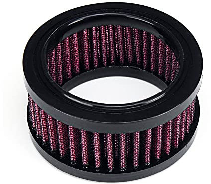 VGVCTX Nuova Moto Filtro Aria Filtro di Aspirazione Accessori di Sistema for Harley-Davidson Sportster 883 1200 1991-2016 Ferro 883 2009-2016 (Color : A)