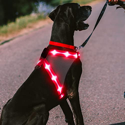 ChalkLit LED Hundegeschirr, Leuchtendes Wiederaufladbares Beleuchtetes Reflektierendes Hundegeschirr Leuchtet Im Dunkeln, LED Hunde-Sicherheitswestenlichter für Nachtspaziergänge (Rosa, L)