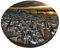 Kururi York City Sunset Picture Print Round Stool Seat Cover Elastic Non-Slip Bottom Washable Seat Slipcover With Elastic Band For Wooden Metal Stools 12-14 Inch