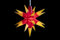 Sterntaler Dekostern | Weihnachtsstern Baby-Stern | 18-Zacker | Rot/Gelb | 8cm | Innen | LED | Batterie | mit Timer