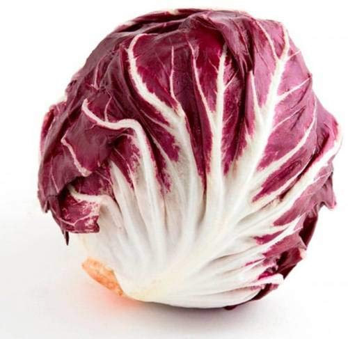 Semillas Cavolo Rosso - Radicchio di Treviso Semillas de hortalizas italiani Seed