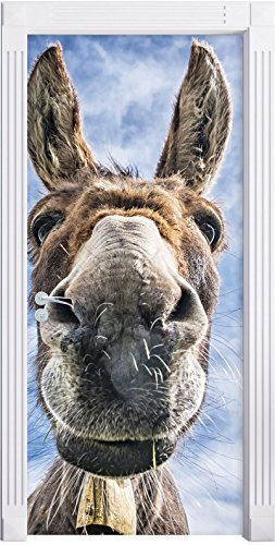 Stil.Zeit Möbel Lustiger Esel als Türtapete, Format: 200x90cm, Türbild, Türaufkleber, Tür Deko, Türsticker