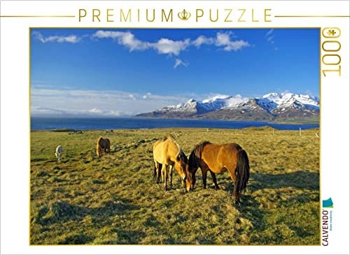 CALVENDO Puzzle Weites Weideland nahe Akureyri 1000 Teile Puzzle quer | 1000 Teile Lege-Größe 64 x 48 cm Foto-Puzzle für glückliche Stunden