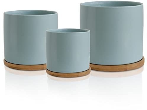 Olly & Rose Lot de 3 pots de fleurs en céramique avec dessous de verre en bambou bleu pastel pour intérieur - Pots de fleurs en céramique pour l'extérieur - Grand, moyen, petit avec soucoupes