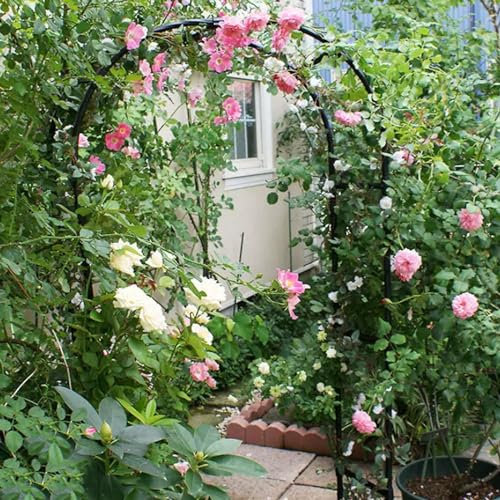 Arco da Giardino per Rose Rampicanti Metallo Arco Arco per Rose Romantico Arco di Nozze Padiglioni Larghezza 80-350cm Durevole(Width 120x high 220cm(47x86in))