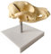 Pädagogische Puppe Hundeschädelmodell – PVC-Material Tierschädelkopf Naturknochen anatomisch – Hundepräparationszubehör