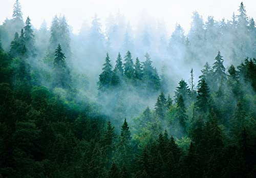 WallArena - Vlies Fototapete Wald im Nebel Natur Grün Landschaft Bäume 152x104 cm - Fototapeten - Tapeten - für Wohnzimmer Schlafzimmer - Vliestapete Wandtapete Tapete 3D Effekt- inkl. Kleister