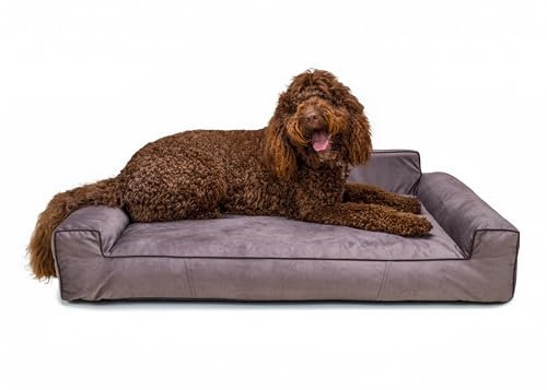 Bjird Hundebett - Hundekorb für kleine mittelgroße & große Hunde - Hundekissen - Hundesofa - Bezug abnehmbar und waschbar - Glamour New - Größe: XL: 116 x 78 cm - Braun Fancy