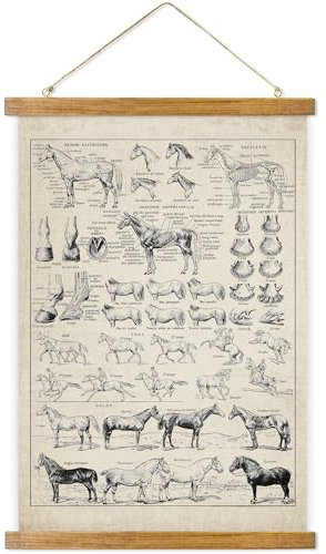 ABoby Poster mit Pferde-Anatomieposter im Vintage-Stil, Pferd, Wandkunst für Zuhause und Büro, Retro-Stil, Gemälde mit Holzrahmen, fertig zum Aufhängen