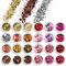 AOOWU Chunky Glitter, 24 Colors 3D Nail Glitter Sequins for Nail Art Decoration, Festival Nail Glitter Powder, Holographic Cosmetic Glitter for Face Body Eye Hair Nail and DIY Art(04＆05)