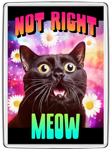 Pixly® Not Right Now Cat Fridge Magnet Large Jumbo Size Funny Joke Keepsake Novelty Refrigerator Magnets Gift